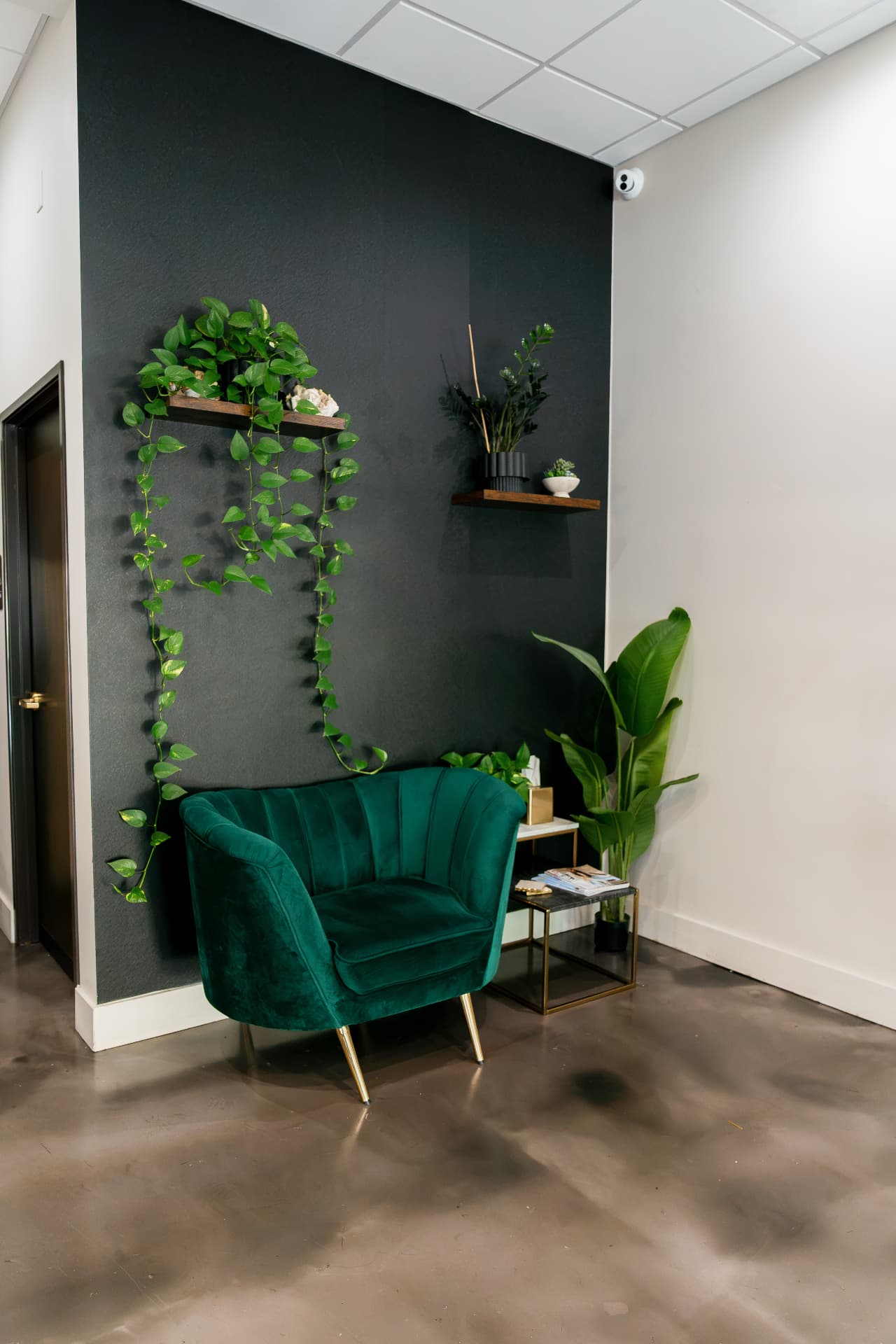 Green velvet lounge chair with plants in the Scottsdale entry